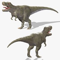 Tyrannosaurus 01 Low Poly PBR Realistic