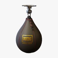 Boxing Speed Bag - Unbranded PBR