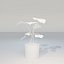 Monstera House Palnt Low Poly
