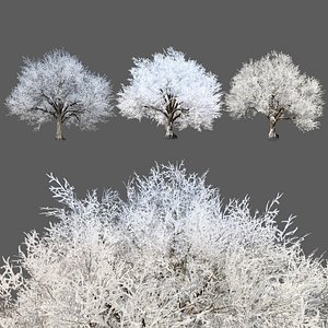 Snow-covered Tree  with Free Tutorial