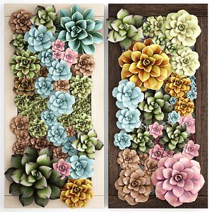 echeveria vertical garden 3D model