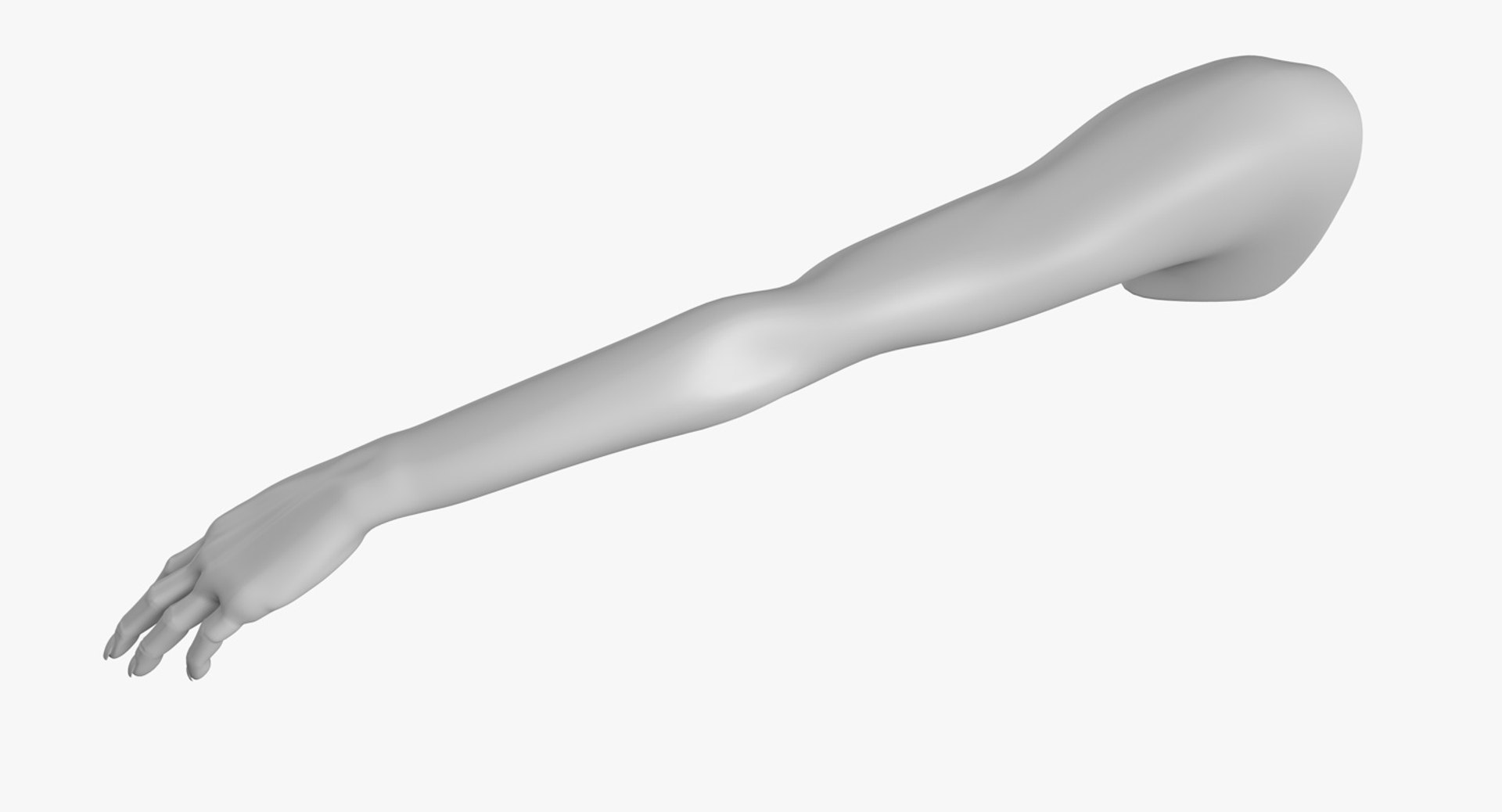 Female-arms 3D models - Sketchfab