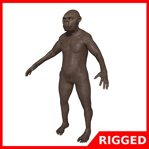 Australopithecus