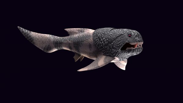 Dunkleosteus 3D - TurboSquid 1403583