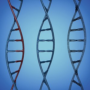 DNA