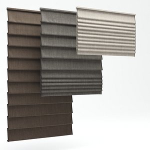 3d roman shades model