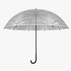 umbrella model