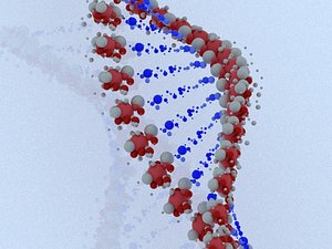 3D dna deoxyribonucleic acid