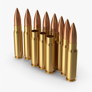 3D model Rifle Bullets