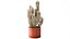 Cacto Cereus, planta do deserto, em vaso de terracota.