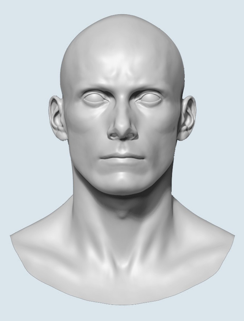 3d Model Male Base Head