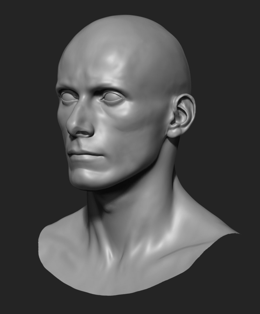 3d Model Male Base Head