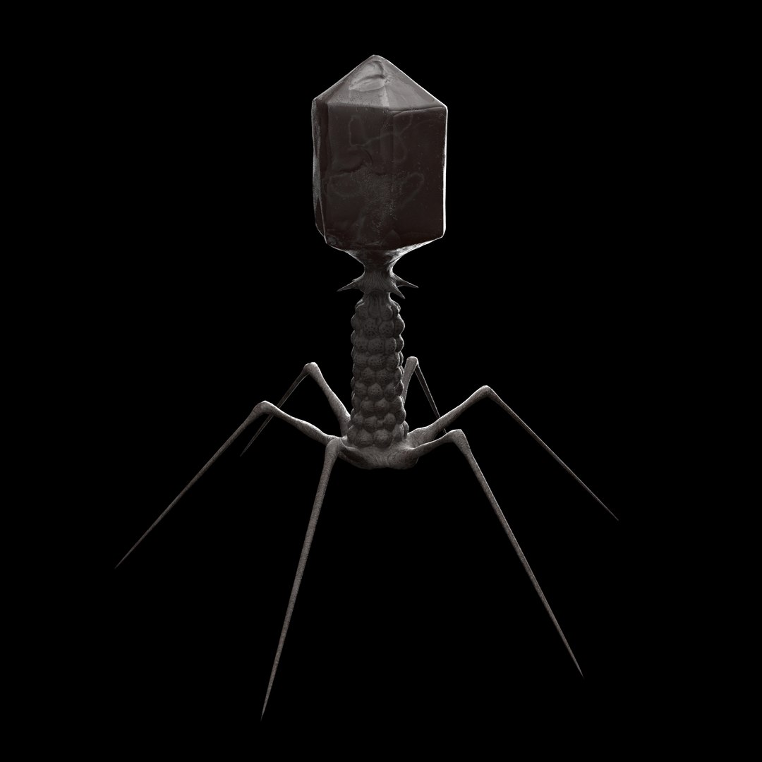 3D T-4 Bacteriophage - TurboSquid 1458948