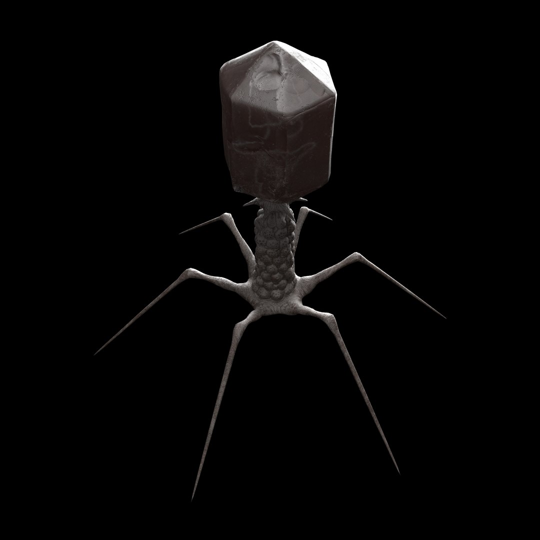 3D T-4 Bacteriophage - TurboSquid 1458948