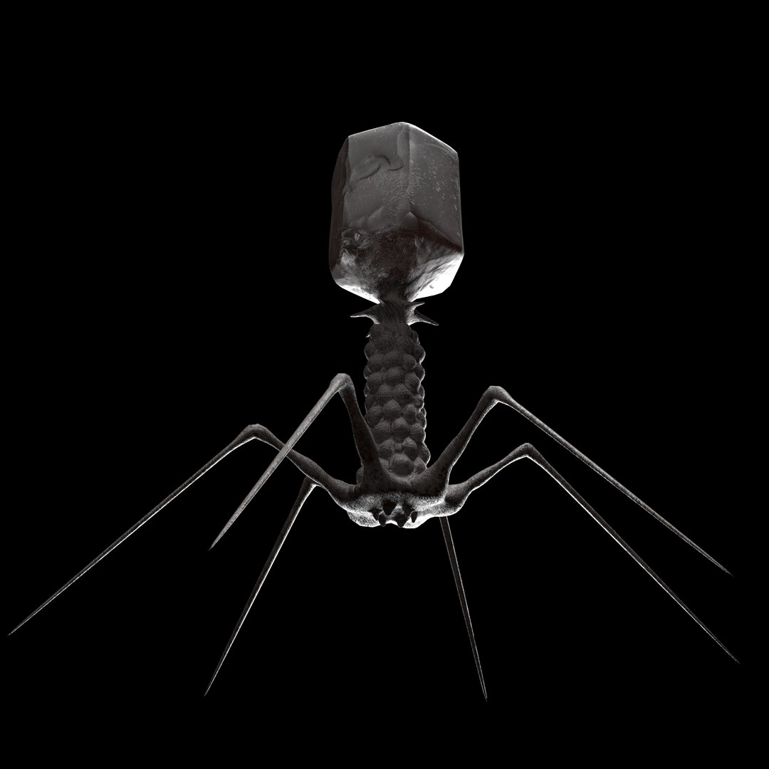 3D T-4 Bacteriophage - TurboSquid 1458948