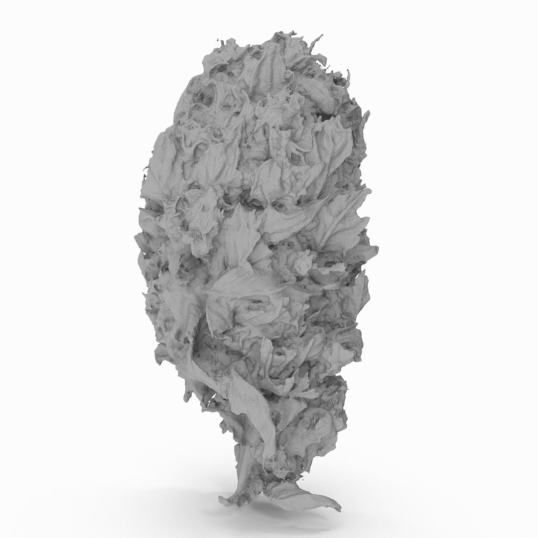 Cannabis Bud Model | 1144659 | TurboSquid