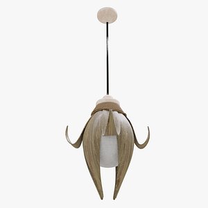 Ceiling Lamp