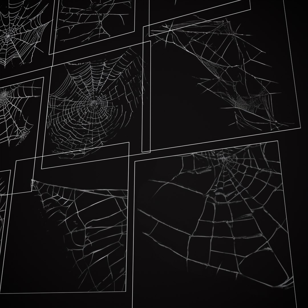 3D Spider Webs Pack Two model https://p.turbosquid.com/ts-thumb/H1/stQAx6/j1/17/png/1697665562/1920x1080/fit_q87/6748f8fcc4bef6adbd7788af00f17b6a6c8cfb05/17.jpg