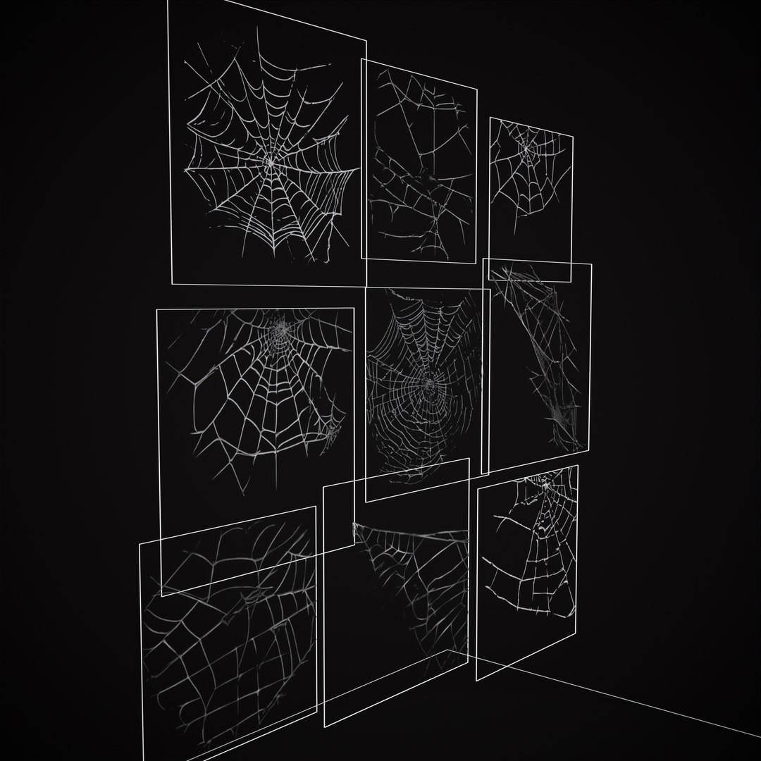 3D Spider Webs Pack Two model https://p.turbosquid.com/ts-thumb/H1/stQAx6/nt/11/png/1697665573/1920x1080/fit_q87/97658ac88df2959fcdb7c65ad912bba6233956b0/11.jpg