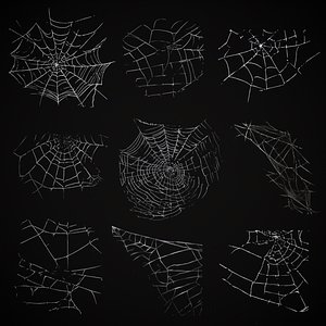 Spider Web 3D Models for Download | TurboSquid