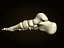foot bones