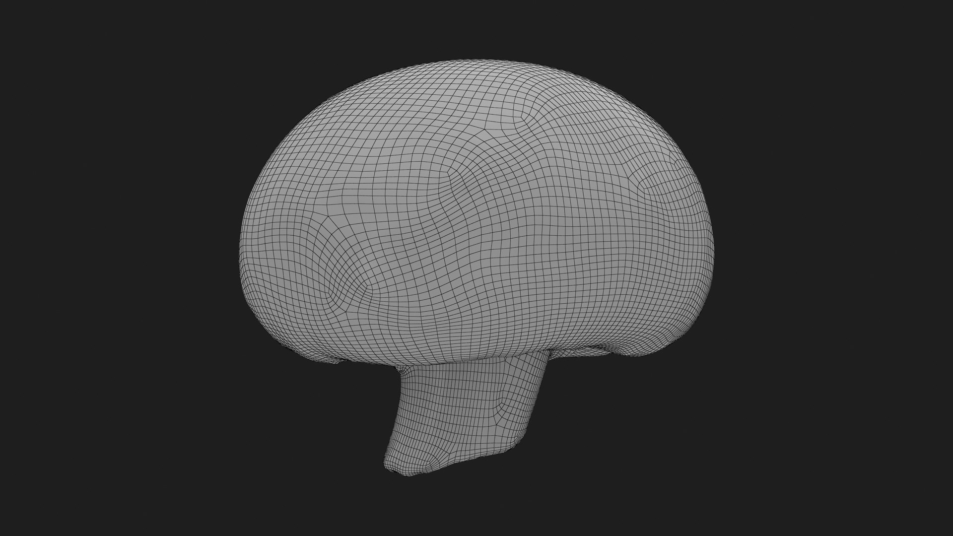 3D Champignon Mushroom 01 https://p.turbosquid.com/ts-thumb/H1/w9dVOI/F2/champignon01_g0003/jpg/1719424349/1920x1080/fit_q87/d701b10efcb274b906d9953f224b59481ca841a9/champignon01_g0003.jpg
