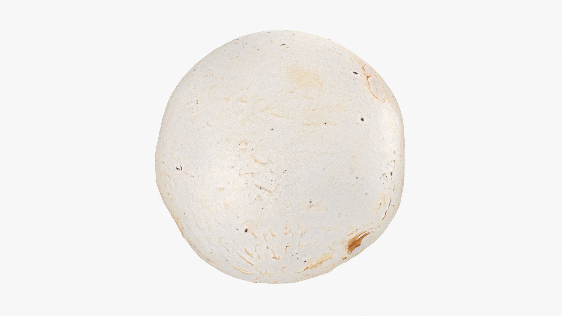 3D Champignon Mushroom 01 https://p.turbosquid.com/ts-thumb/H1/w9dVOI/Zr/champignon01_b0014/jpg/1719424341/1920x1080/fit_q87/509d8dcba46d30883bf5fb7b28309e001c0a6d14/champignon01_b0014.jpg