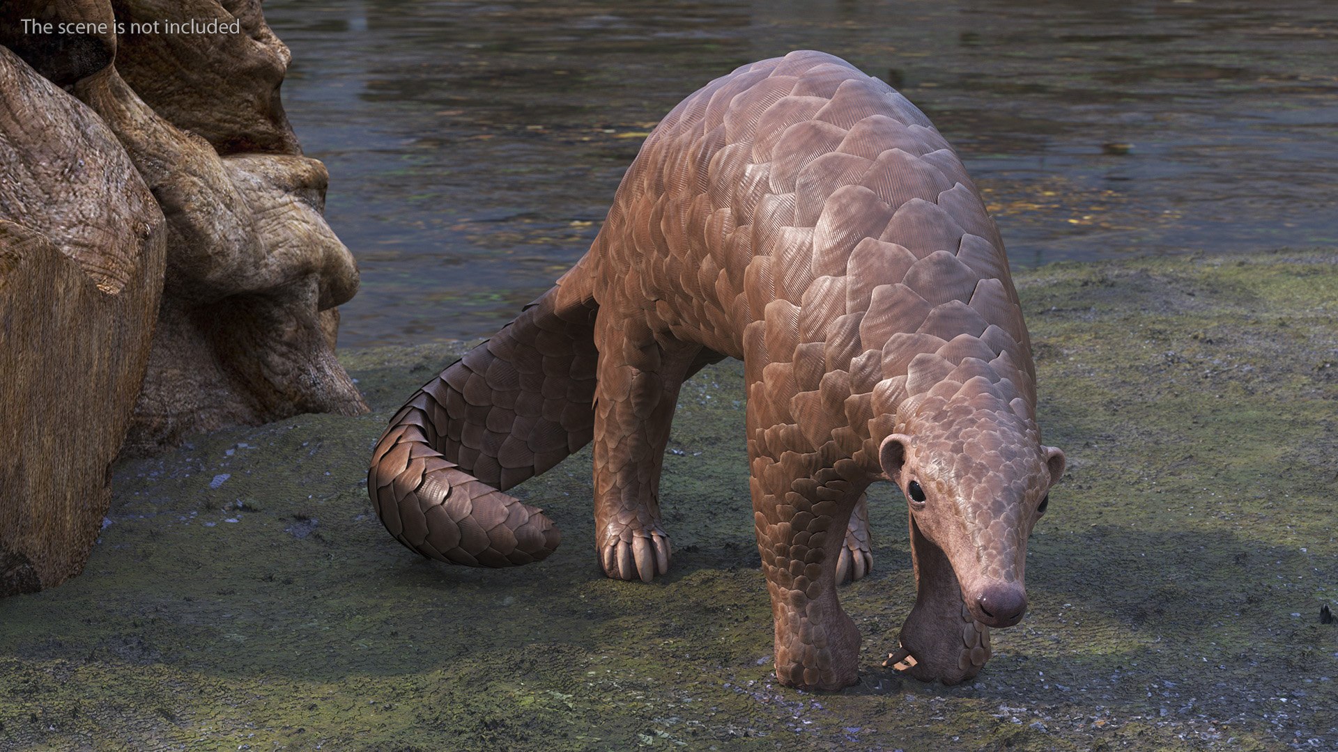 Realistic Pangolin 3D model https://p.turbosquid.com/ts-thumb/H2/06d3G4/6H/realisticpangolinmb3dmodel003/jpg/1712815466/1920x1080/fit_q87/0c810f66d98e55340c11e574ebcd6498ba2dee14/realisticpangolinmb3dmodel003.jpg
