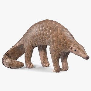 Realistic Pangolin 3D model