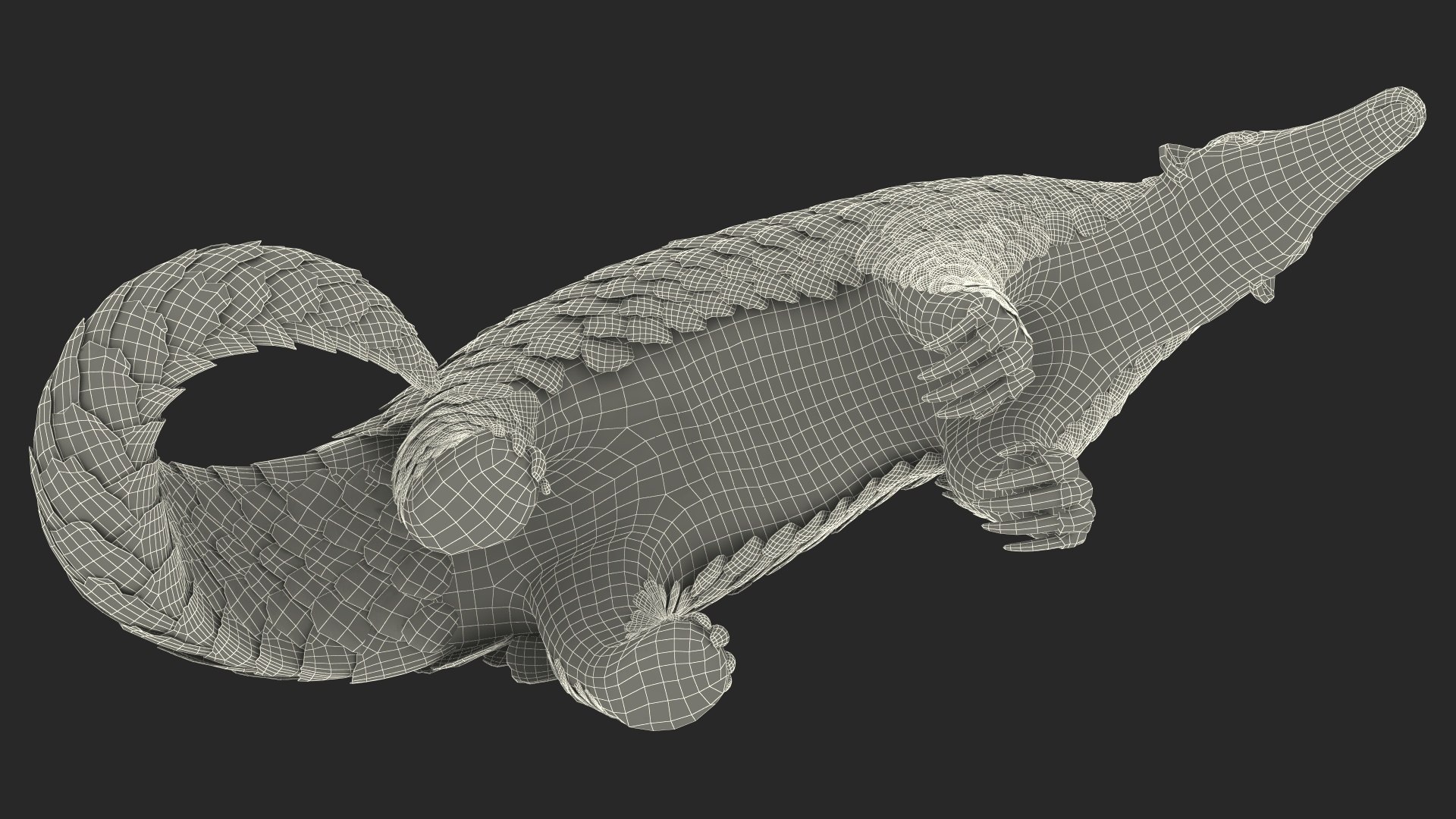 Realistic Pangolin 3D model https://p.turbosquid.com/ts-thumb/H2/06d3G4/Tn/realisticpangolinmb3dmodel030/jpg/1712815565/1920x1080/fit_q87/96d76a8c92284cb278051b32b139f1da9c9c75b3/realisticpangolinmb3dmodel030.jpg