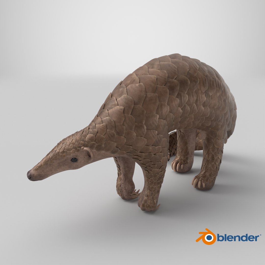 Realistic Pangolin 3D model https://p.turbosquid.com/ts-thumb/H2/06d3G4/VD/stemcell_blender_cycles_render/png/1715755016/1920x1080/fit_q87/26b71625b3026bf46a56a0b6b6e7fe376925a426/stemcell_blender_cycles_render.jpg