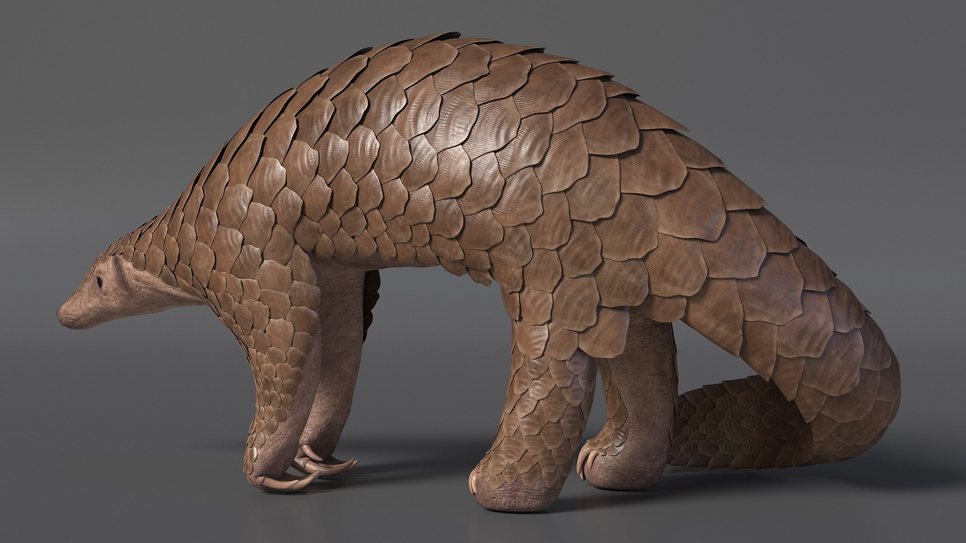 Realistic Pangolin 3D model https://p.turbosquid.com/ts-thumb/H2/06d3G4/zM/realisticpangolinmb3dmodel008/jpg/1712815485/1920x1080/fit_q87/9fdc71da68f3eaf54cac00f0ccfb84604abef27d/realisticpangolinmb3dmodel008.jpg