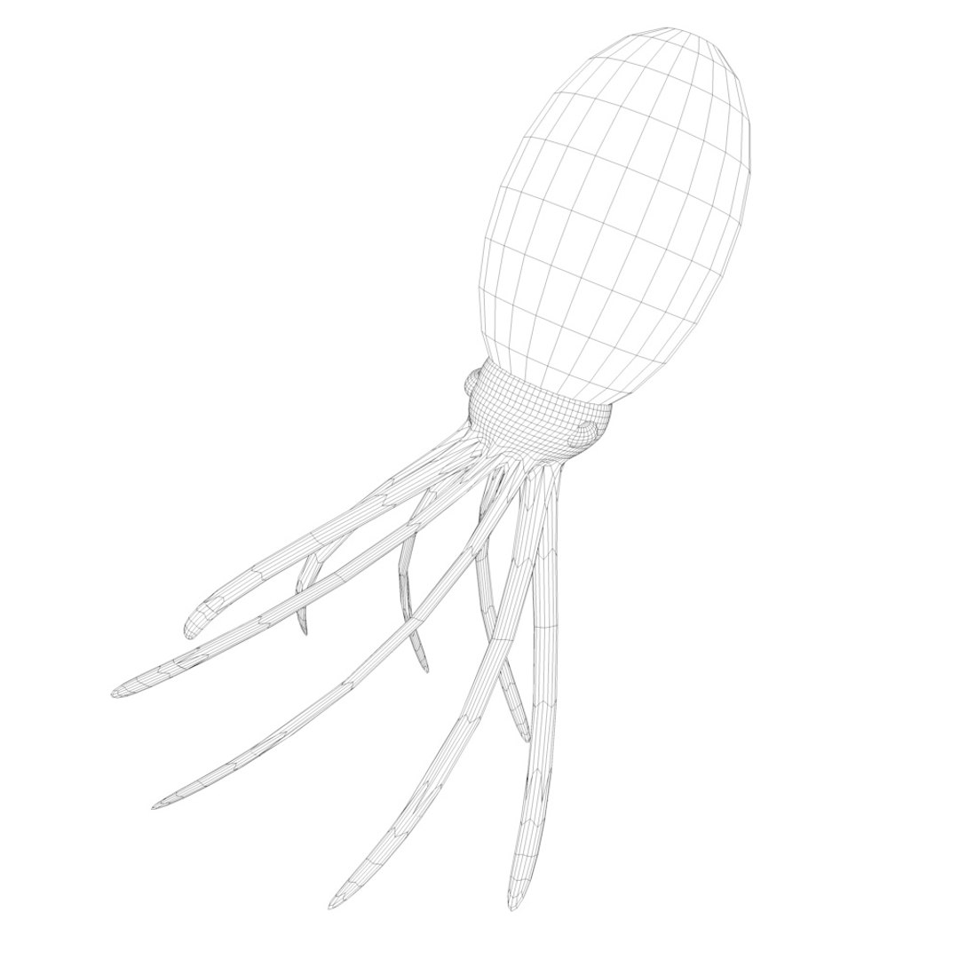 3d model turbosquid squid https://p.turbosquid.com/ts-thumb/H2/S3MblJ/rvsI3sKw/squid2/jpg/1351018594/1920x1080/fit_q87/90a48b73cb33b70c6aaed0cf85f0566f25bed707/squid2.jpg