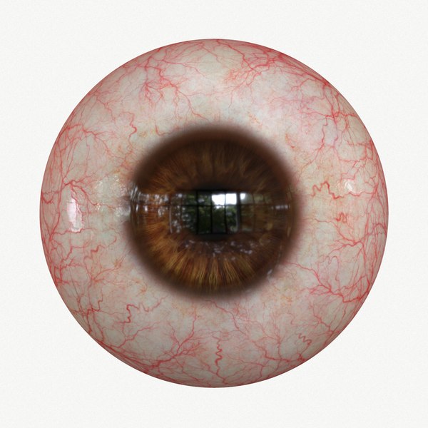Eye Brown Real-time 4k texture Marmoset Toolbag3 Maya FBX OBJ 3D