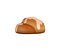 Cinnamon Roll