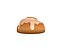 Cinnamon Roll