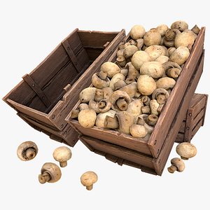 Mushrooms Crate Stand Box 3D model