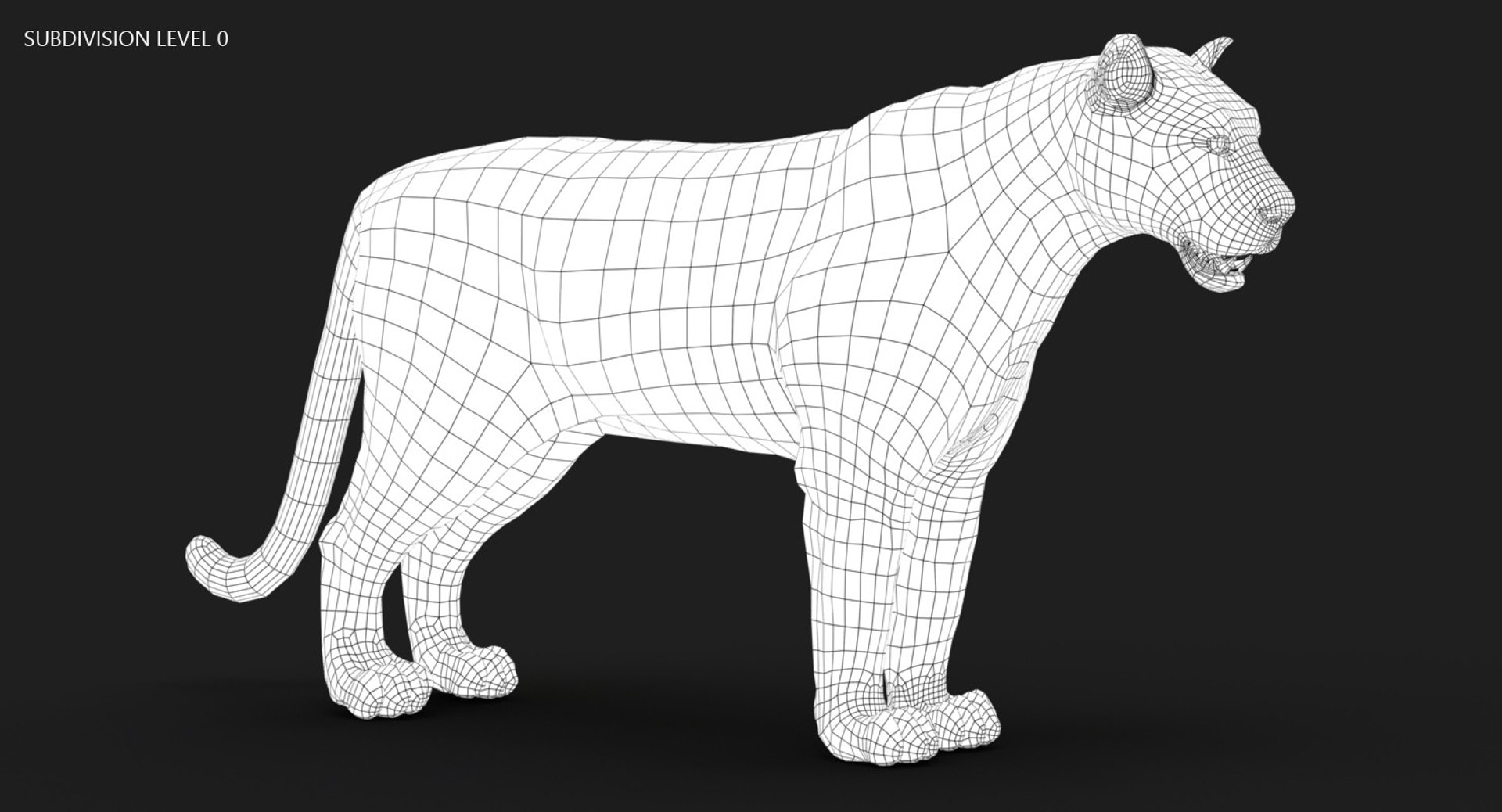 3D tiger animation fur 4 https://p.turbosquid.com/ts-thumb/H2/yADtHR/1RadvmwA/wire01b/jpg/1496792377/1920x1080/fit_q87/a7dd44cd65ea744e7e1fe11131aac6201a0c4b44/wire01b.jpg