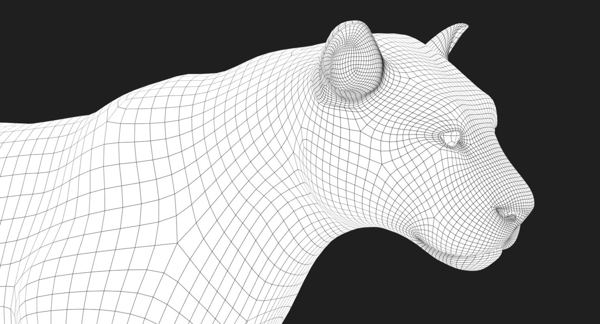3D tiger animation fur 4 https://p.turbosquid.com/ts-thumb/H2/yADtHR/1bpyoAZn/wire03/jpg/1496792377/1920x1080/fit_q87/65f0d23db283f32e0d4b9fe9071ea35f41c972b9/wire03.jpg