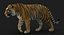 Tiger (4) (Animated) (Fur)