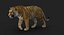 Tiger (4) (Animated) (Fur)