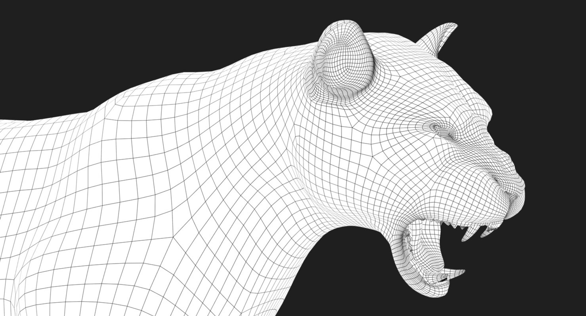 3D tiger animation fur 4 https://p.turbosquid.com/ts-thumb/H2/yADtHR/EMCAbDsh/wire04/jpg/1496792377/1920x1080/fit_q87/80a253342f763602d46aa0eb10f489e82c92f952/wire04.jpg