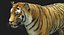 Tiger (4) (Animated) (Fur)