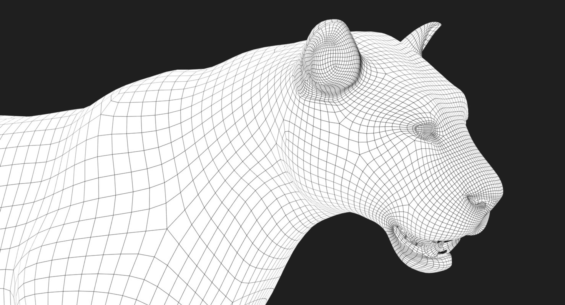3D tiger animation fur 4 https://p.turbosquid.com/ts-thumb/H2/yADtHR/ReHleLM3/wire02/jpg/1496792377/1920x1080/fit_q87/dcd3325d3695cbce2cf336390e28931c879b19e5/wire02.jpg
