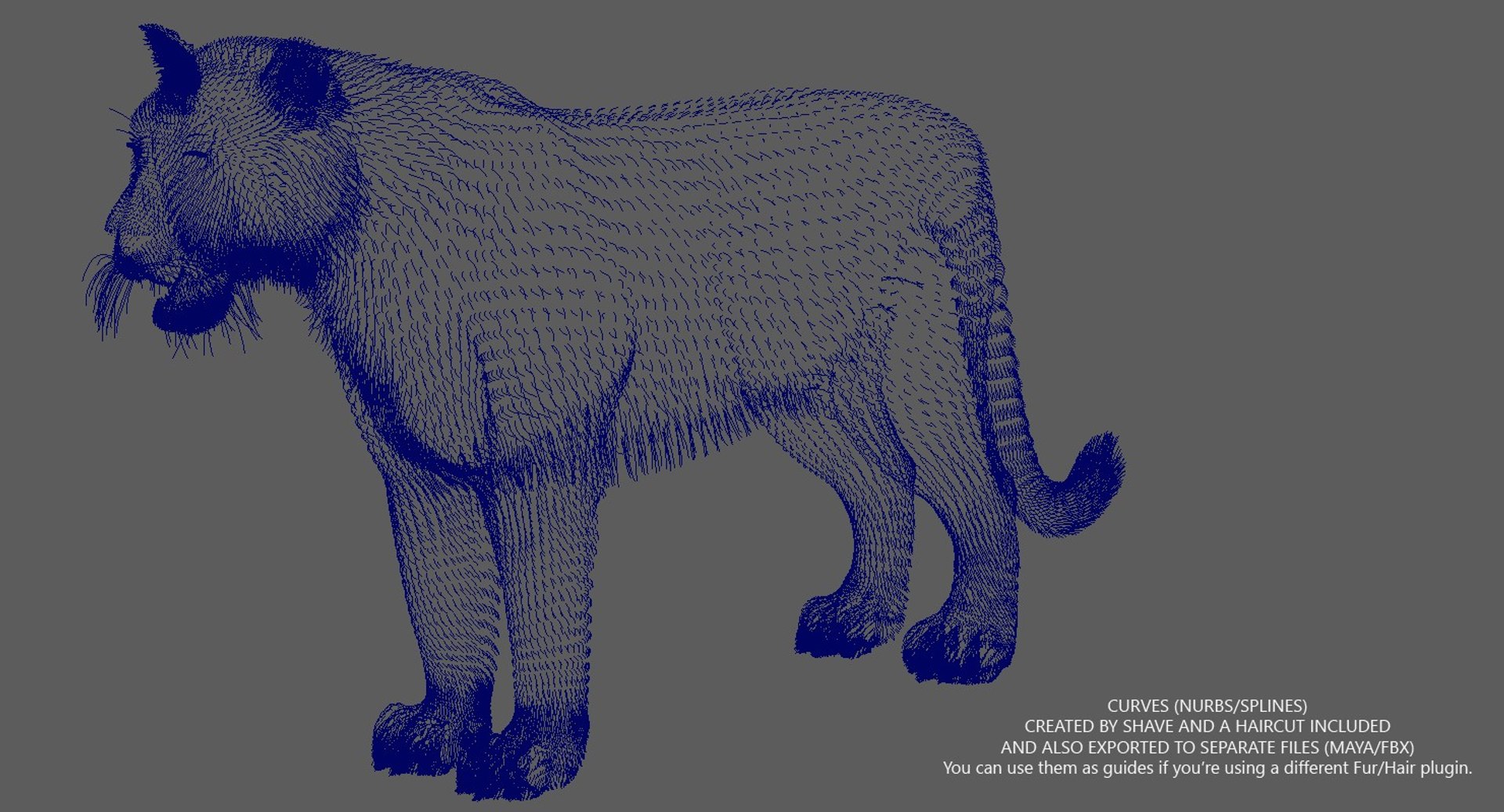 3D tiger animation fur 4 https://p.turbosquid.com/ts-thumb/H2/yADtHR/YiV2dHyE/hair/jpg/1496792385/1920x1080/fit_q87/c819e7fb40740f73bf3553f84f4278ede534ead6/hair.jpg
