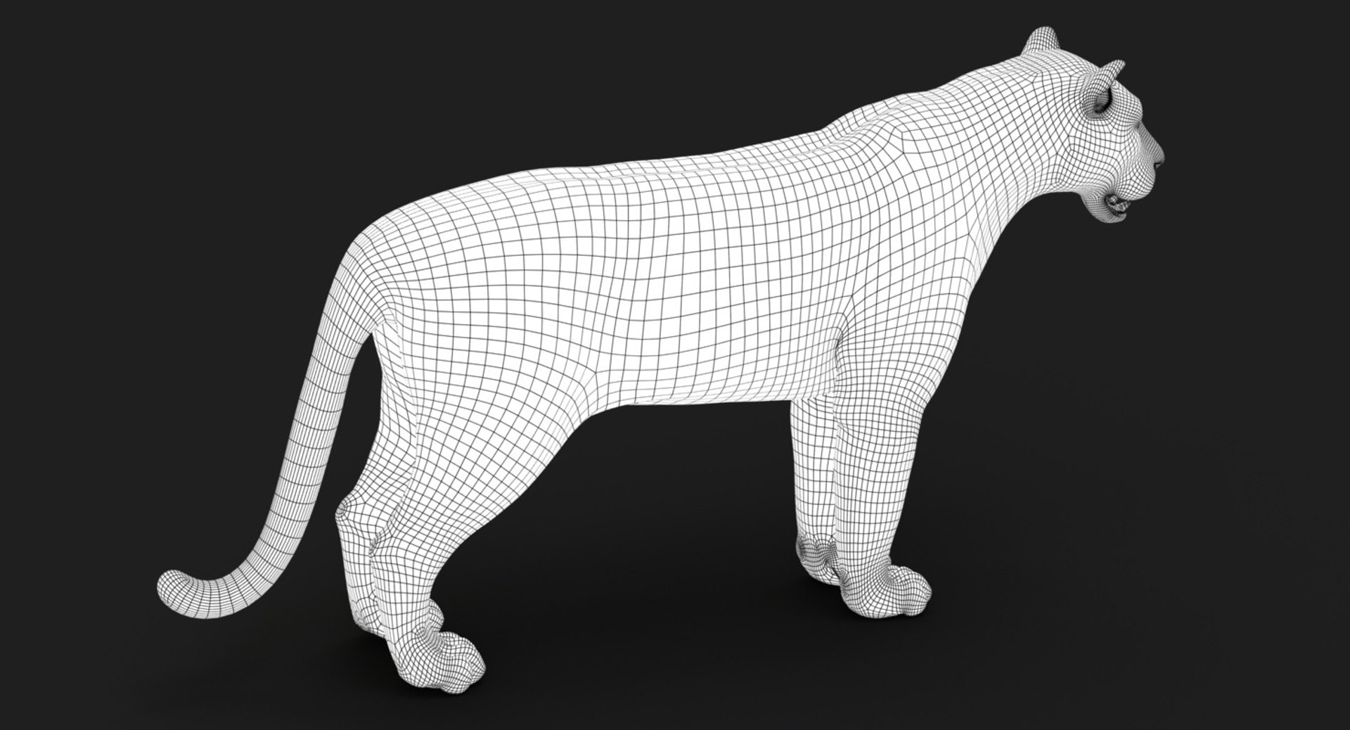 3D tiger animation fur 4 https://p.turbosquid.com/ts-thumb/H2/yADtHR/Z4K3TuMr/wire05/jpg/1496792377/1920x1080/fit_q87/79fa582f27c6cf0681082b0b5ac80bc9808f43bc/wire05.jpg