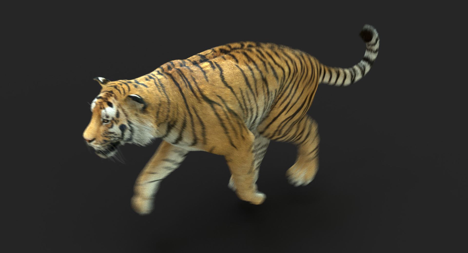 Download Bengal Tiger 3D Animation Wallpaper