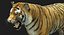 Tiger (4) (Animated) (Fur)