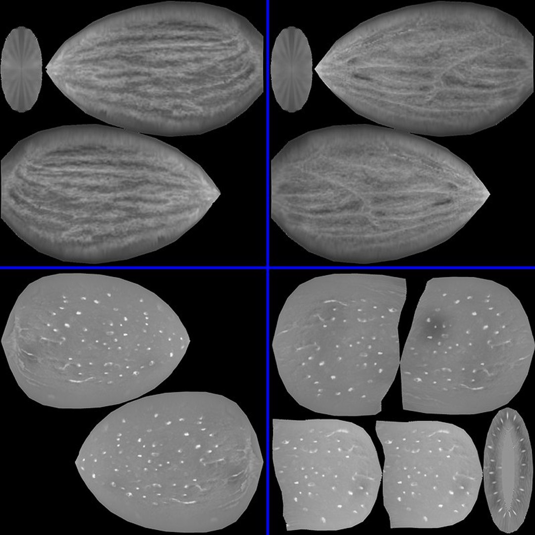 almonds 3d max https://p.turbosquid.com/ts-thumb/H3/4UvEl7/GbZYAnHN/specular_1/jpg/1240440296/1920x1080/fit_q87/6d1c58a6337e08cc6b08d9639a6d53f2c4cef96d/specular_1.jpg