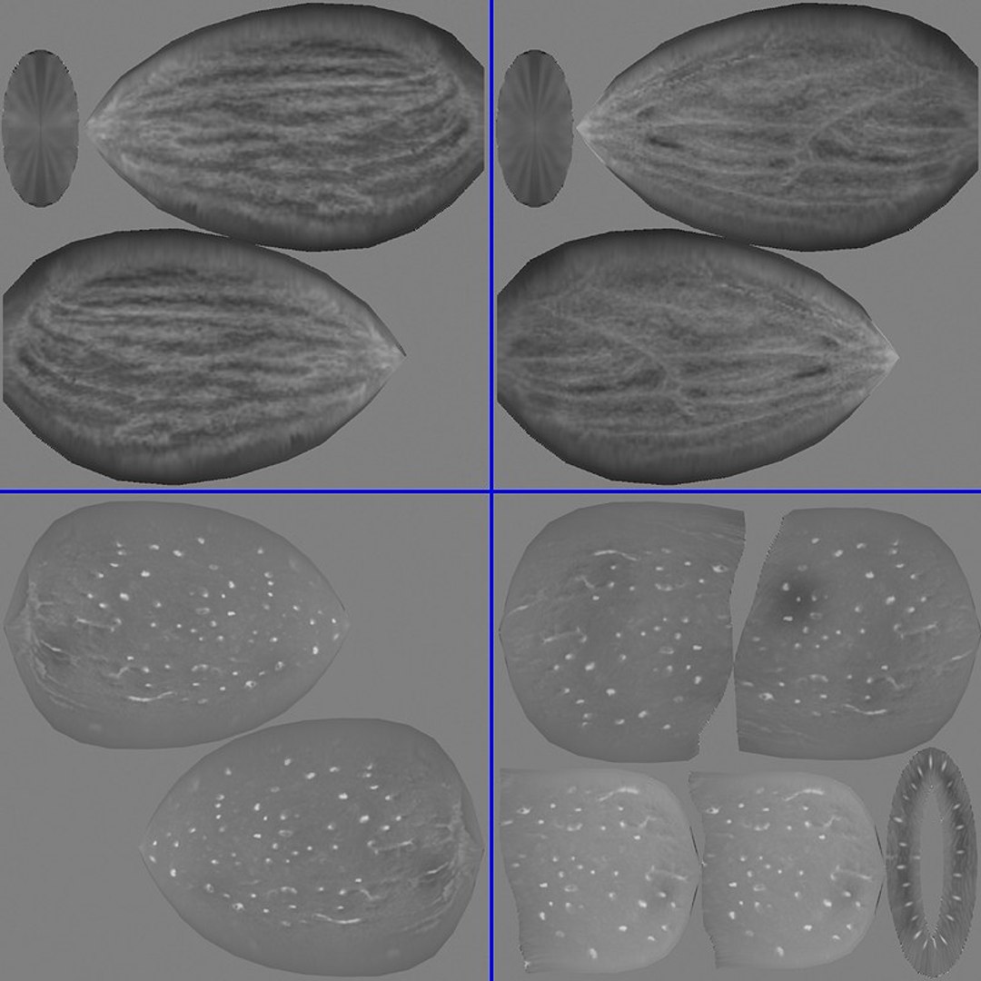 almonds 3d max https://p.turbosquid.com/ts-thumb/H3/4UvEl7/gmuScWHT/bump_1/jpg/1240440270/1920x1080/fit_q87/6f1e6d00a7a67d16370ed07514c5cd156a6fa248/bump_1.jpg